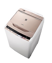 BWV110BS